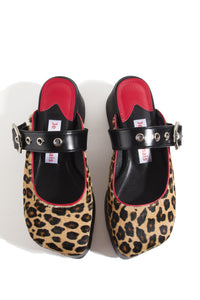 Rael pl_leopard