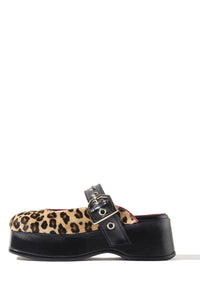 Rael pl_leopard